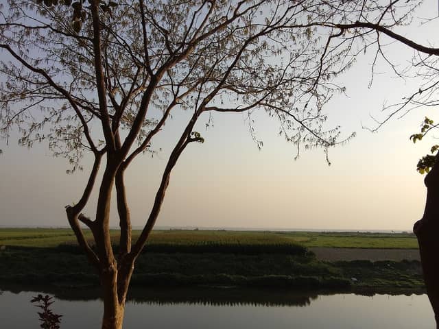 Padma garden footbridge - Image 2