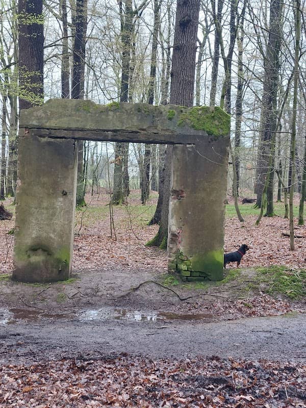 Seltsames Tor - Image 1