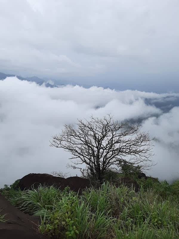 Koranappara View Point - Image 1