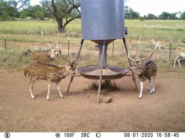 3 Amigos Ranch - Image 1