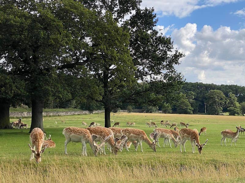 Bradgate Park (Newtown Linford Entrance) - Image 1