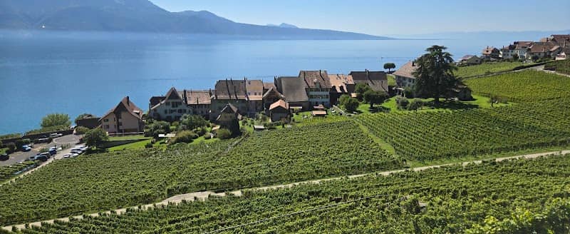 Lavaux vineyards - Image 2