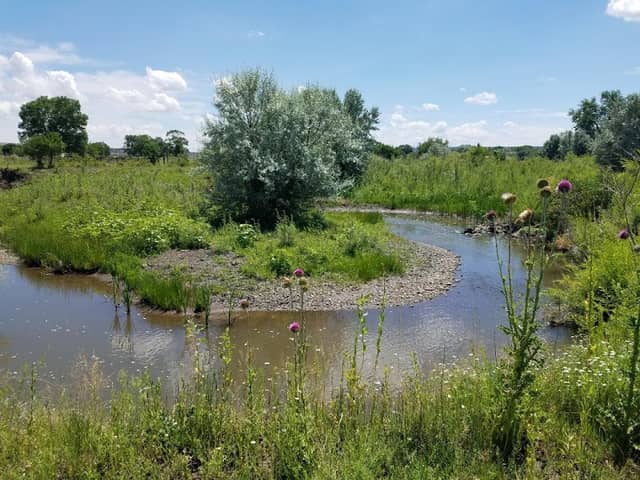 Becker Lake Wildlife Area - Image 1