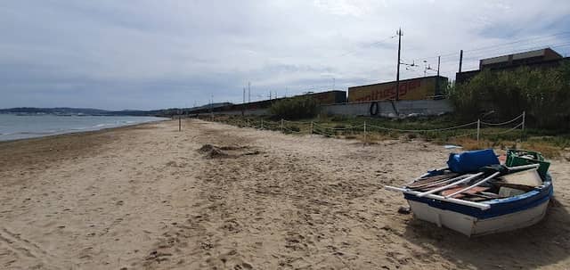 Habitat dune sabbiose - Image 2
