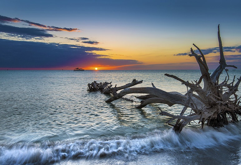Braddock Beach/Moon Beach - Image 2