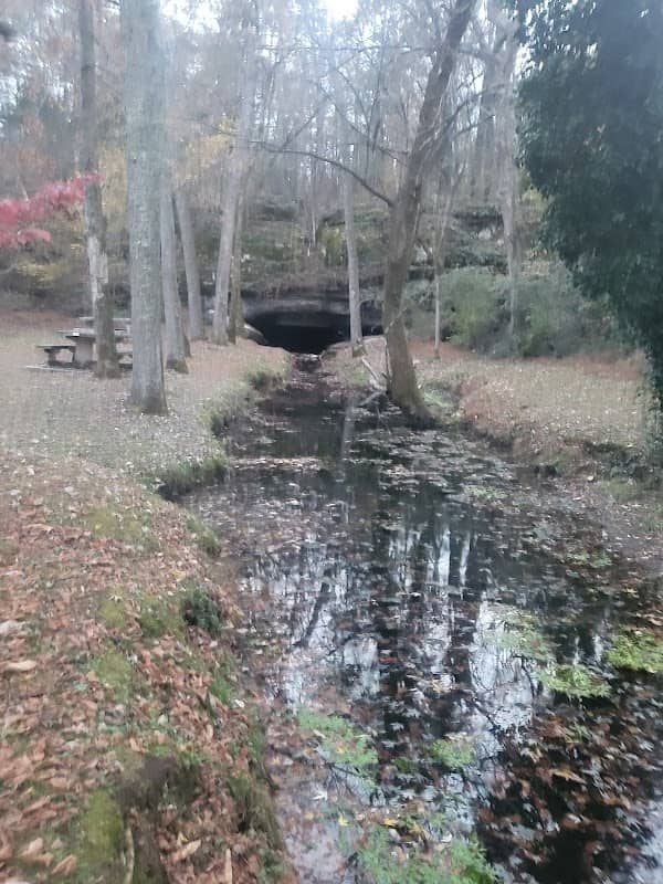 Berlin Springs Pavilion - Image 1
