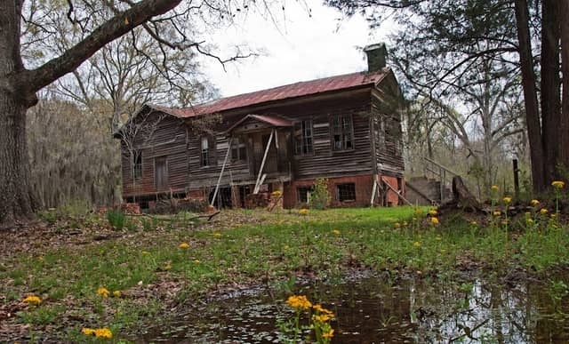 Old Cahawba Archaeological Park - Image 3