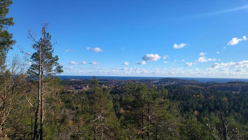 Fevik lysløype - Image 2