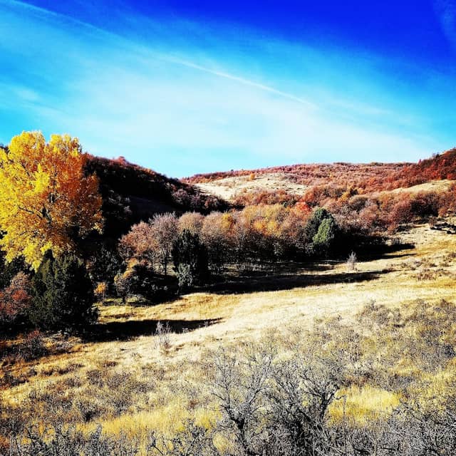 West Canyon Ranch - Image 1