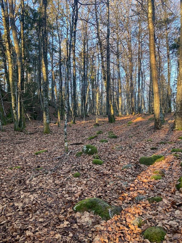 Rottenikkens hule - Image 3