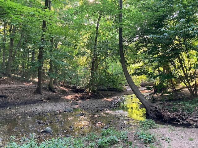 Hunt's Woods Park - Image 3
