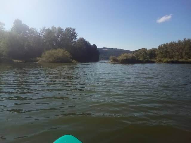 Moselinsel Hahnenwehr - Image 2