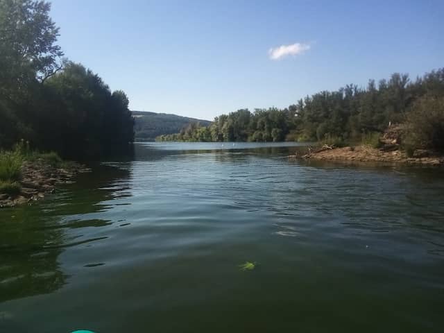 Moselinsel Hahnenwehr - Image 1