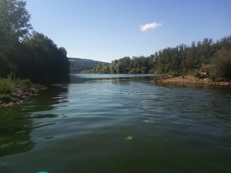 Moselinsel Hahnenwehr - Image 1
