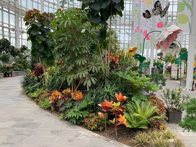 Children's Garden - Image 1