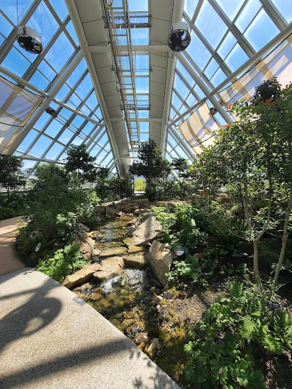 Children's Garden - Image 2