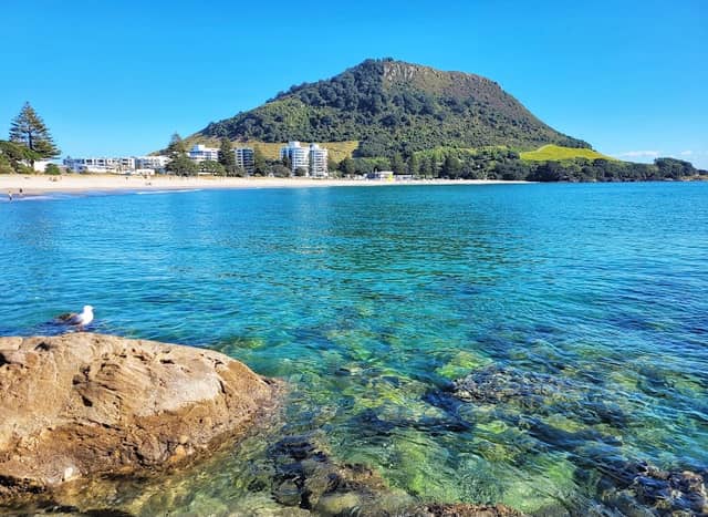Mauao / Mount Maunganui summit - Image 3