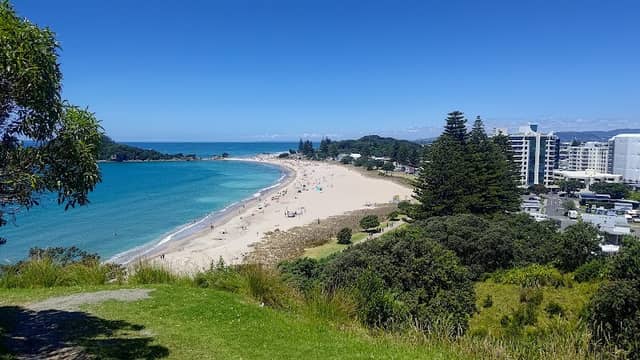 Mauao / Mount Maunganui summit - Image 2