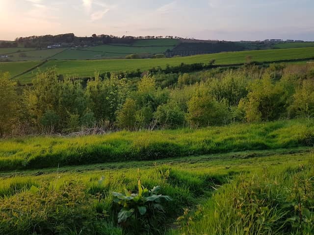 Yeo Valley Community Woodland - Image 2