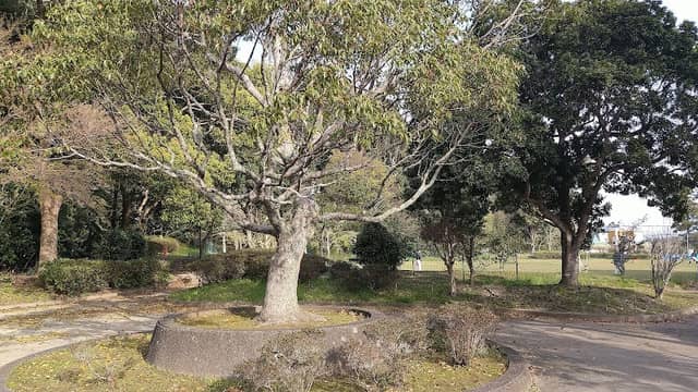 Mobarakogyodanchikita Park - Image 1