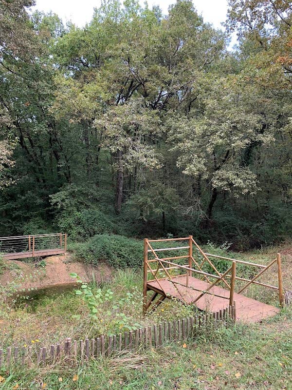 de Darel Botanical Garden - Image 2