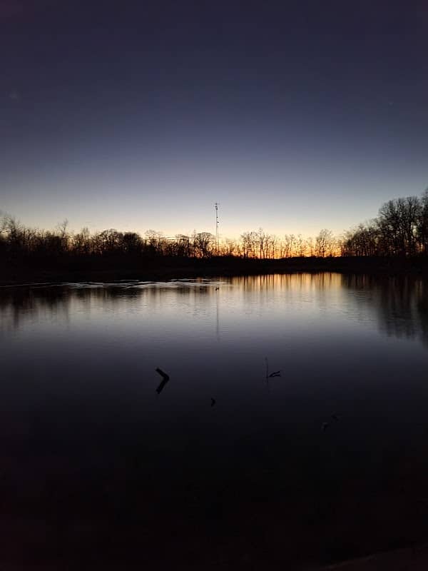 Churubusco Park Wetland - Image 1