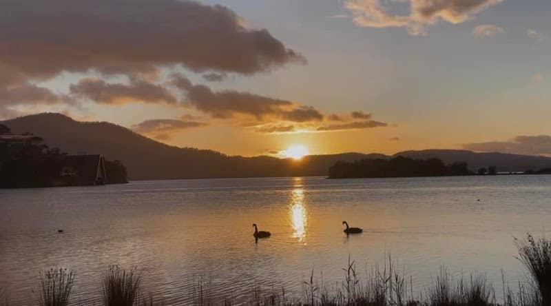Black Swan point - Image 1