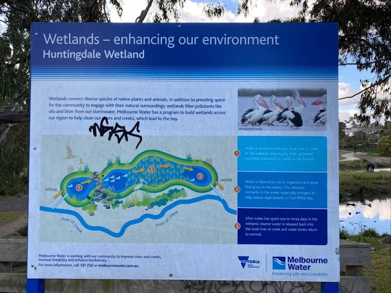 Huntingdale Wetlands - Image 1
