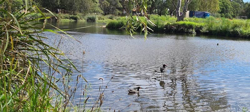 Huntingdale Wetlands - Image 3