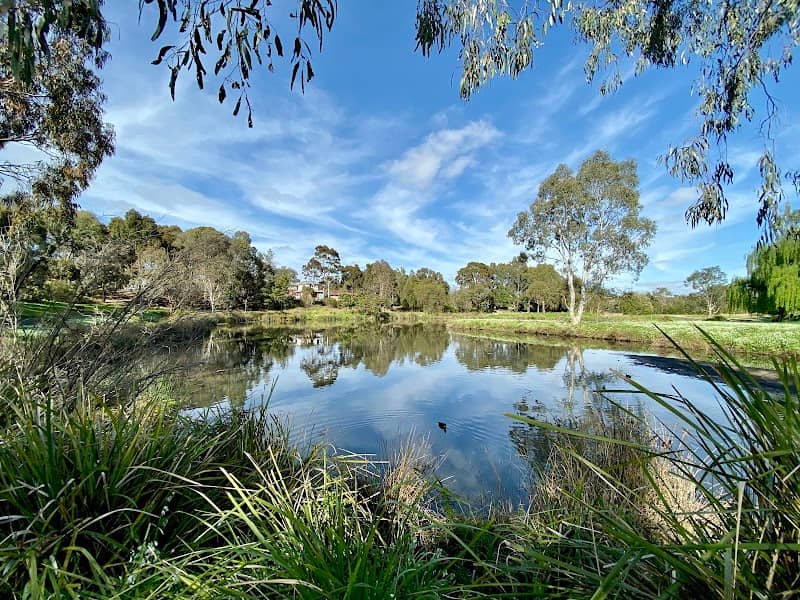 Huntingdale Wetlands - Image 2