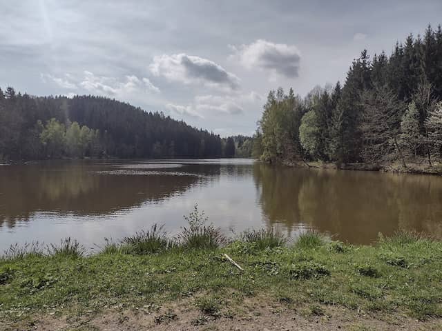 Slunečný rybnik - Image 1