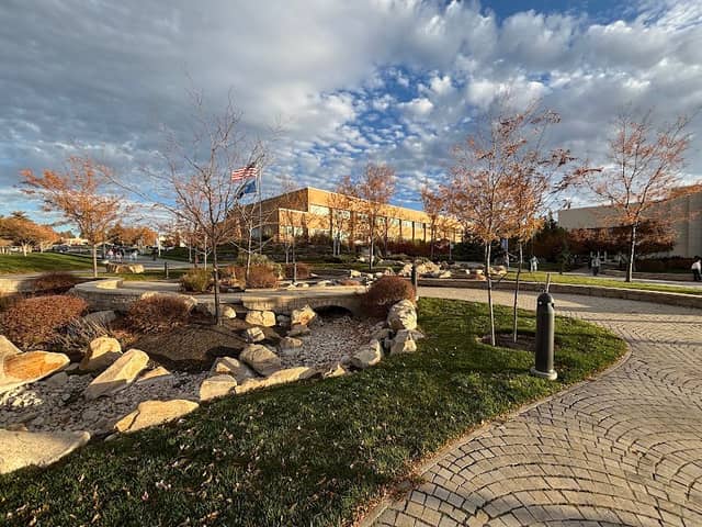 Taylor Quad Decorative Garden - Image 1