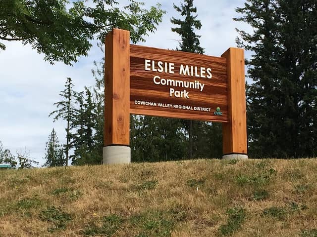 Elsie Miles Park/Dougan Park - Image 1