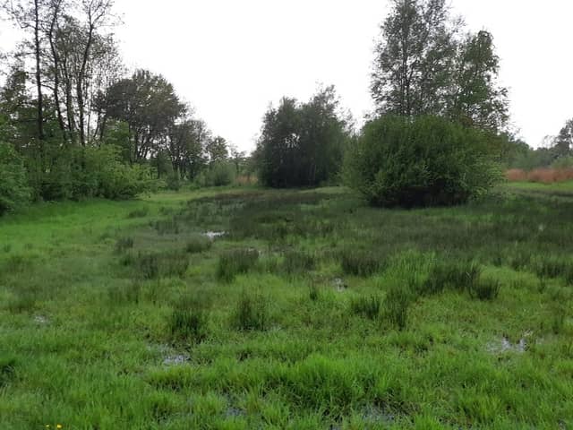 Groengebied Amstelland - Image 1