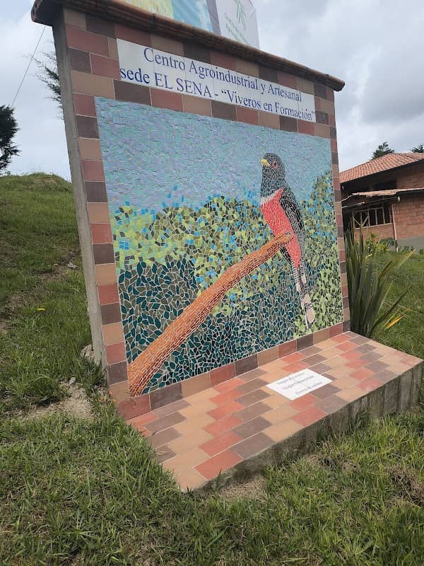 Mosaico Trogon Enmascarado - Sena - Image 1
