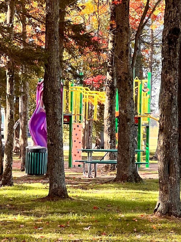 Claude-Savary Park - Image 2