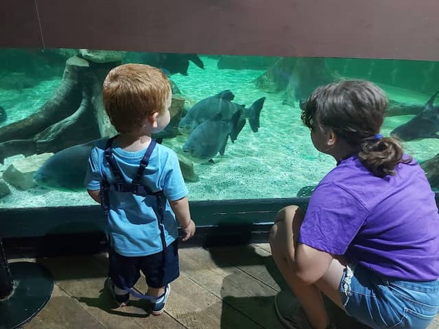 Tynemouth Aquarium - Image 2