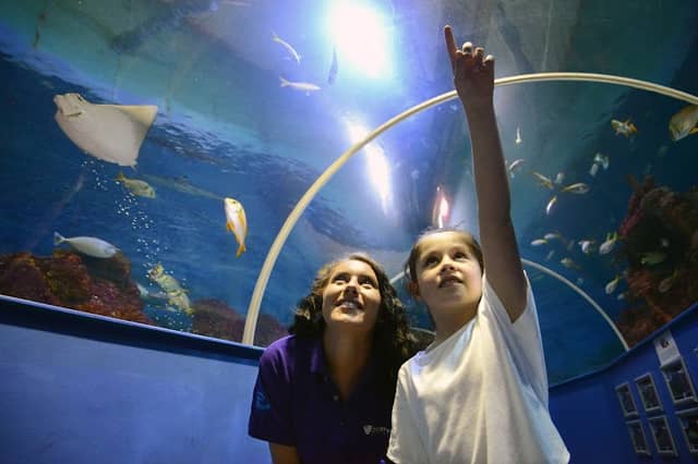 Tynemouth Aquarium - Image 1