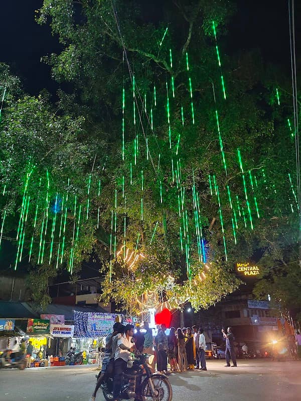 Nedumangad Tree - Image 1