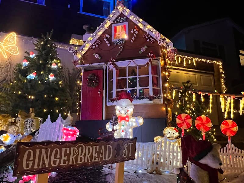 Beech Avenue Winter Wonderland - Image 2