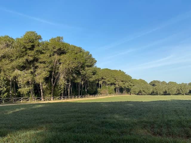 Parco della Poesia, Sogliano Cavour - Image 1