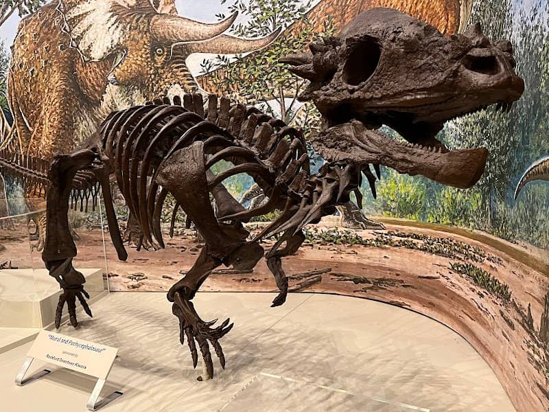 Burpee Museum of Natural History - Image 2