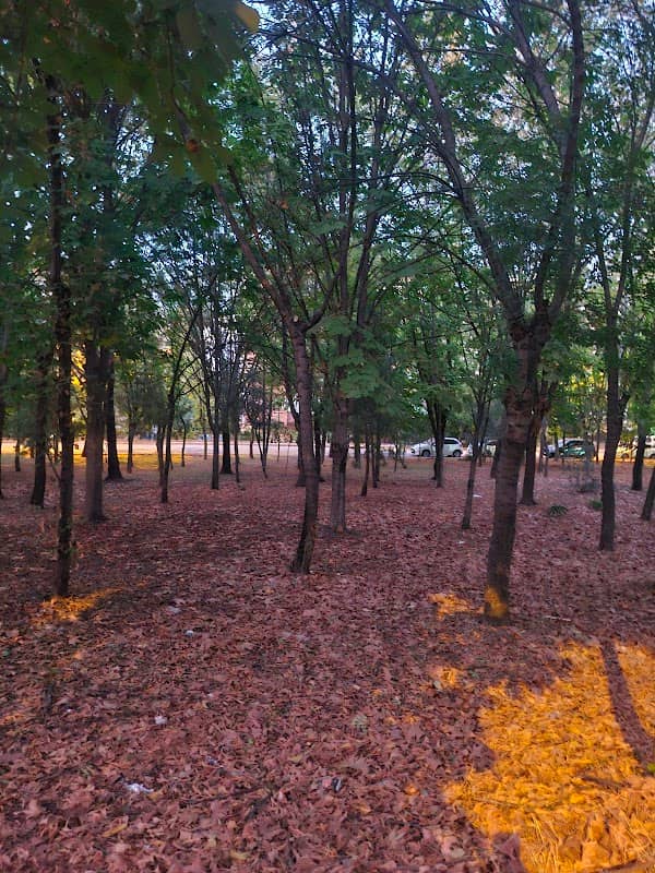 25ler Parkı - Image 1