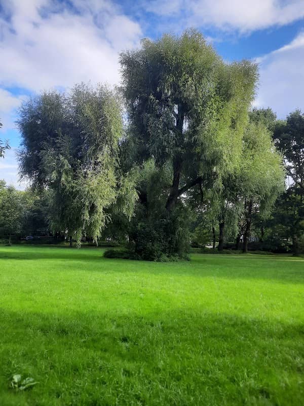 Park an der Burg Medinghoven - Image 2