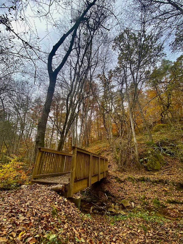 Passerelle du Grangent - Image 2