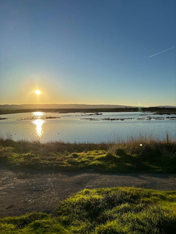 Pelican View - Image 1