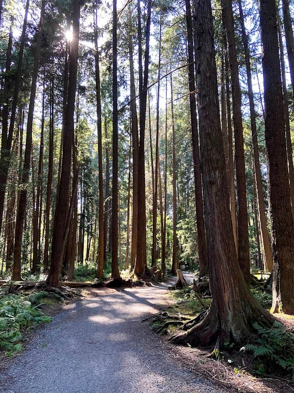 Coquitlam River Park - Image 2