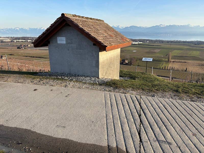 La capite de la garde des vignes - Image 1