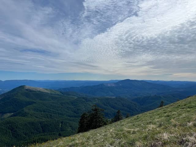 Marys Peak Day Use - Image 1