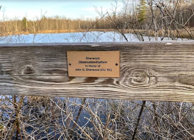 Sherwood Observation Platform - Image 2